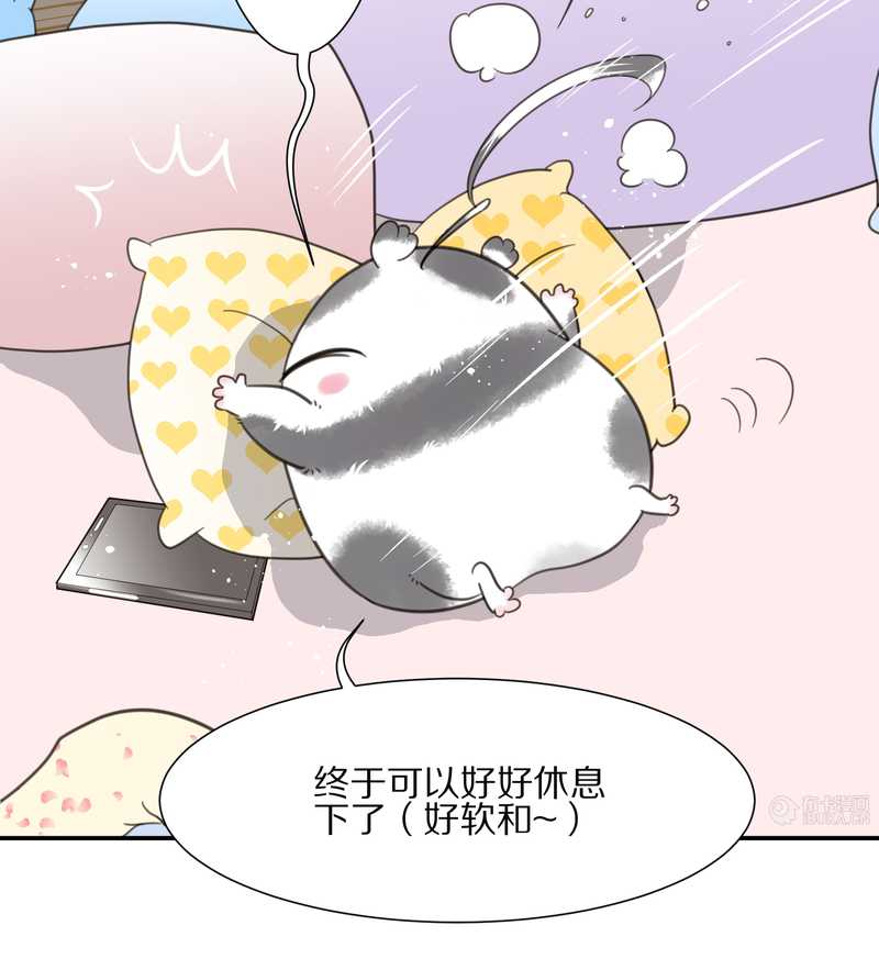 毛球星传说 第18集(1/2)-第18话