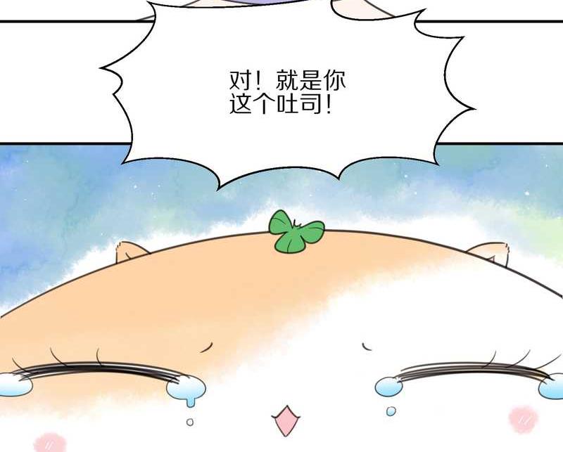 毛球星传说 第18集(1/2)-第18话