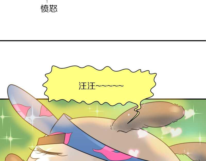 毛球星传说 第20集(1/2)-第20话