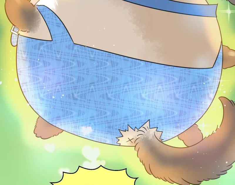 毛球星传说 第20集(1/2)-第20话