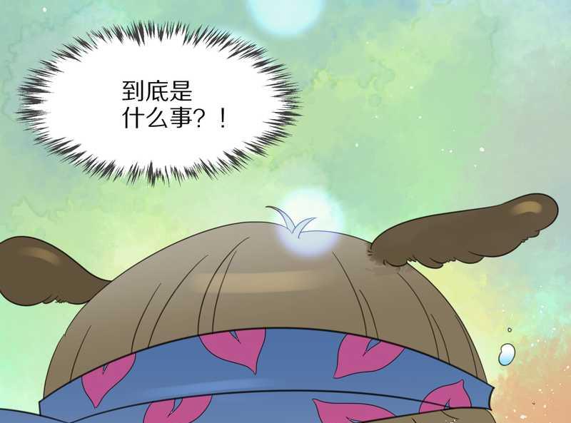毛球星传说 第20集(1/2)-第20话
