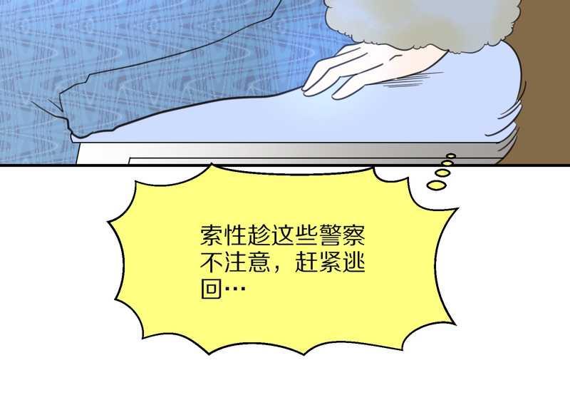 毛球星传说 第20集(1/2)-第20话