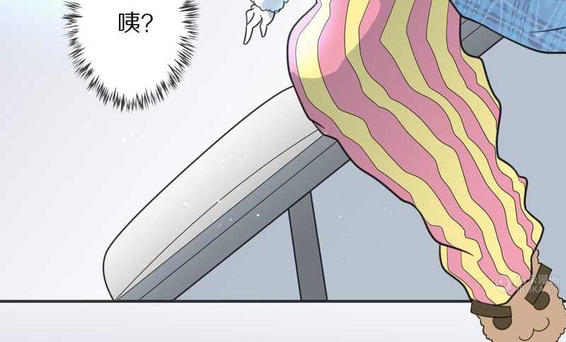 毛球星传说 第20集(1/2)-第20话