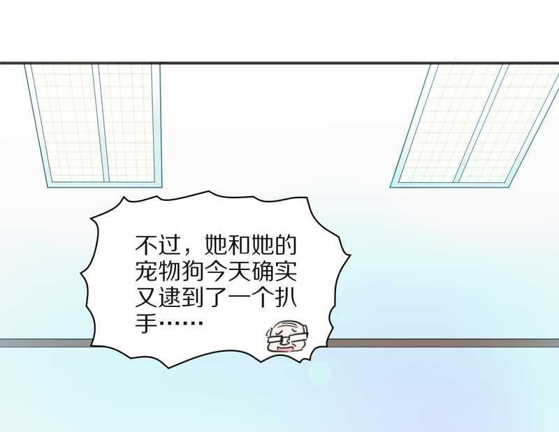 毛球星传说 第20集(1/2)-第20话