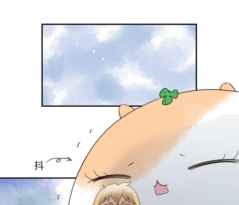 毛球星传说 第20集(1/2)-第20话
