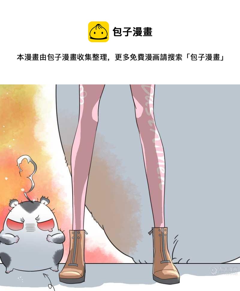 毛球星传说 第20集(1/2)-第20话