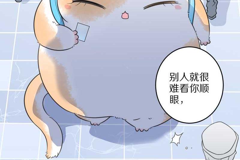 毛球星传说 第22集(1/2)-第22话