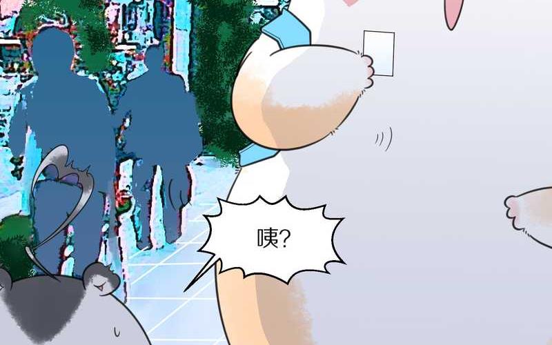 毛球星传说 第22集(1/2)-第22话