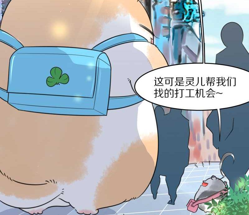 毛球星传说 第22集(1/2)-第22话