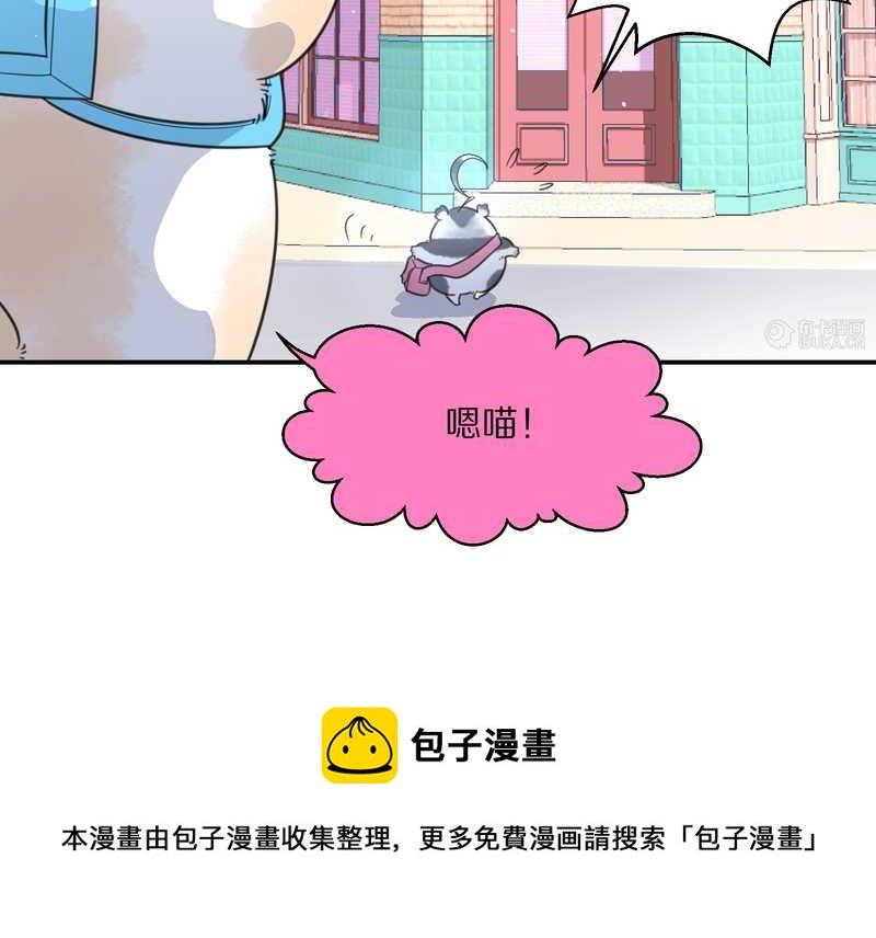 毛球星传说 第22集(1/2)-第22话