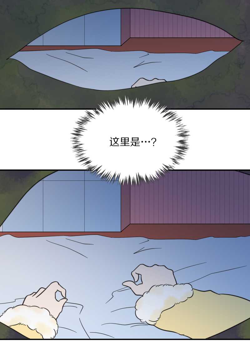 毛球星传说 第22集(1/2)-第22话