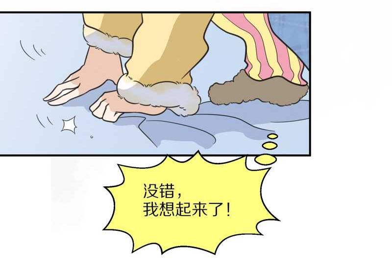 毛球星传说 第22集(1/2)-第22话