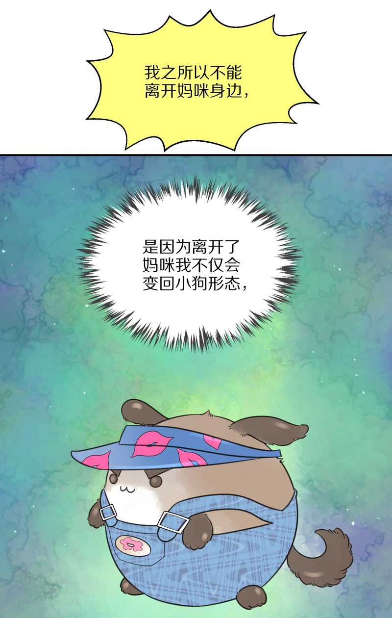 毛球星传说 第22集(1/2)-第22话