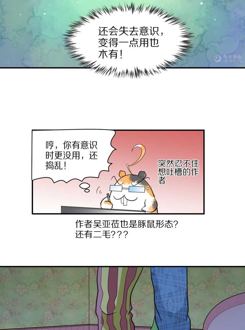 毛球星传说 第22集(1/2)-第22话
