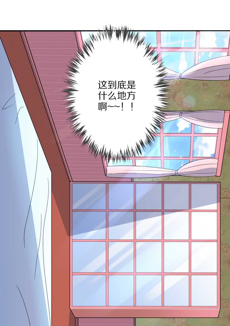 毛球星传说 第22集(1/2)-第22话