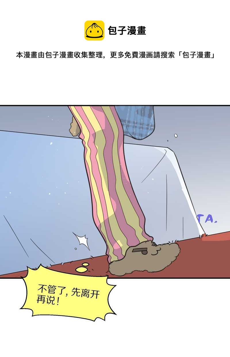 毛球星传说 第22集(1/2)-第22话