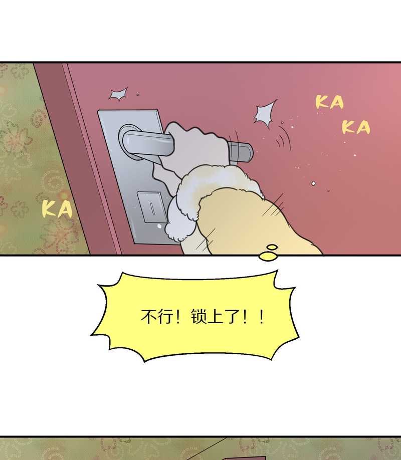 毛球星传说 第22集(1/2)-第22话