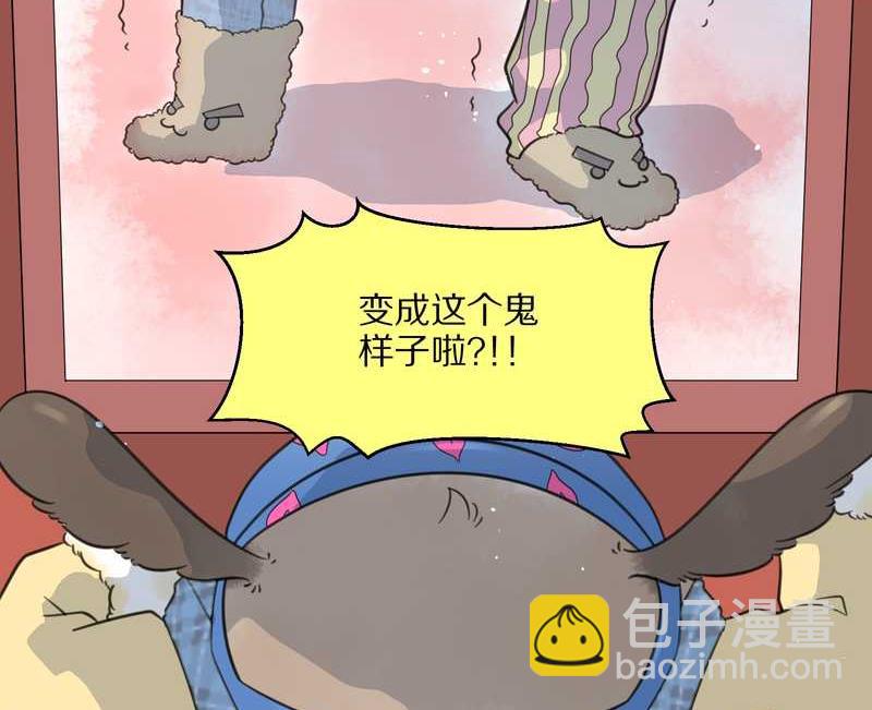 毛球星传说 第22集(1/2)-第22话