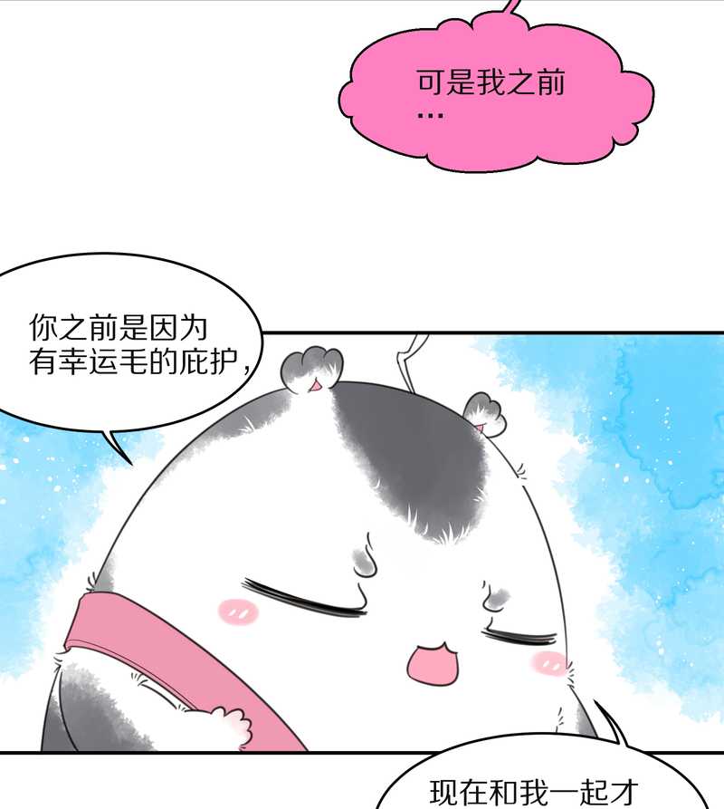 毛球星传说 第22集(1/2)-第22话