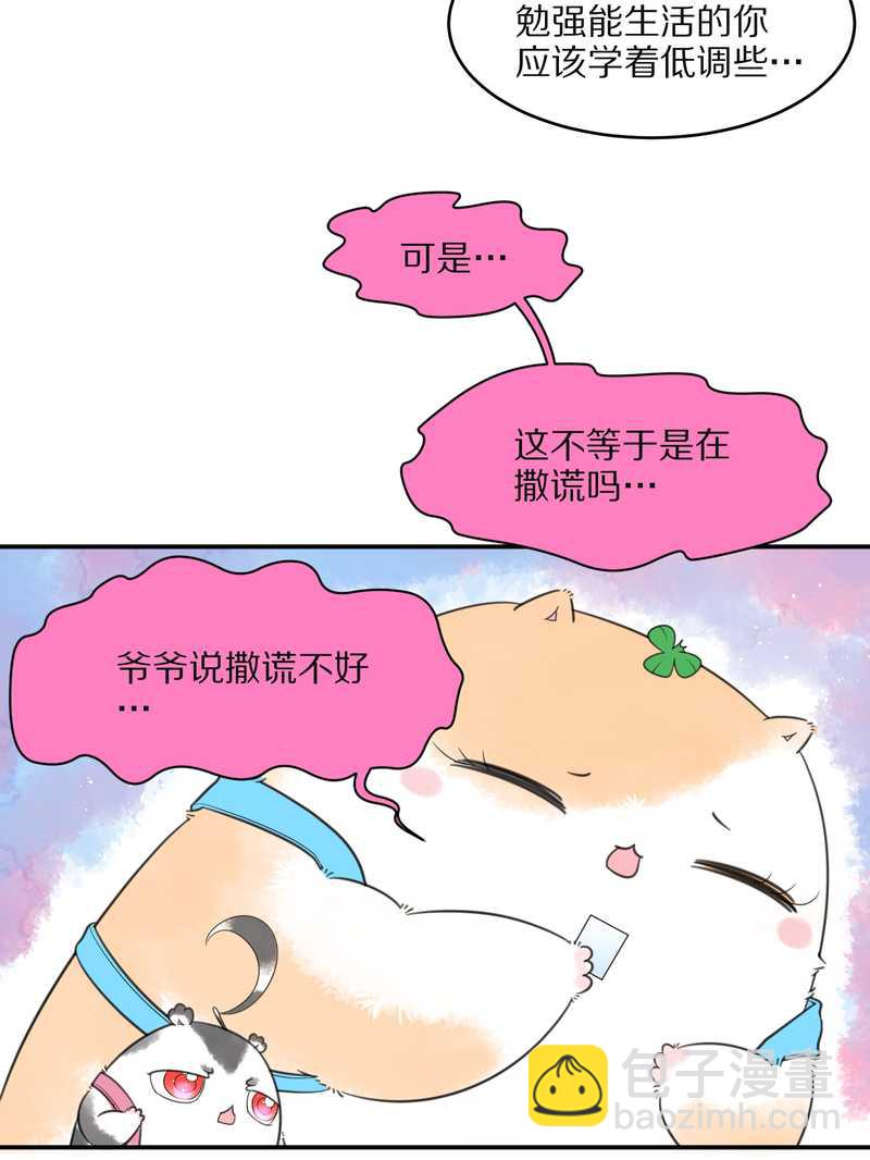 毛球星传说 第22集(1/2)-第22话