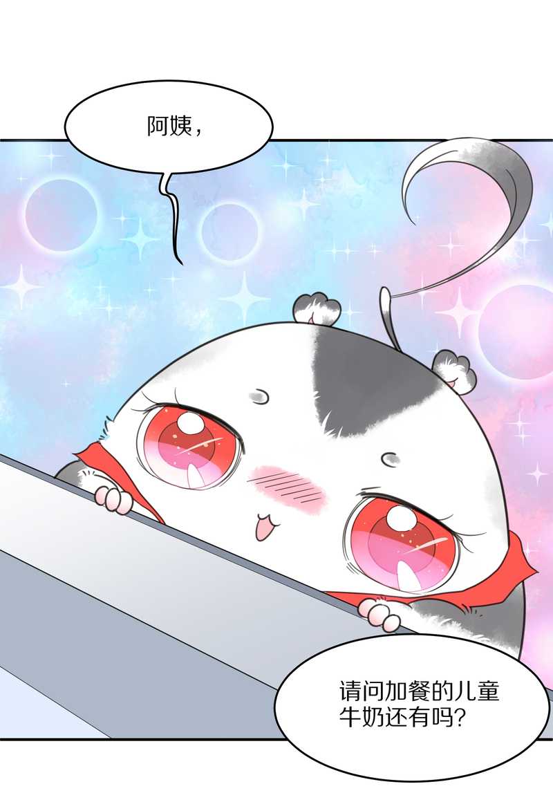 毛球星传说 第24集(1/2)-第24话