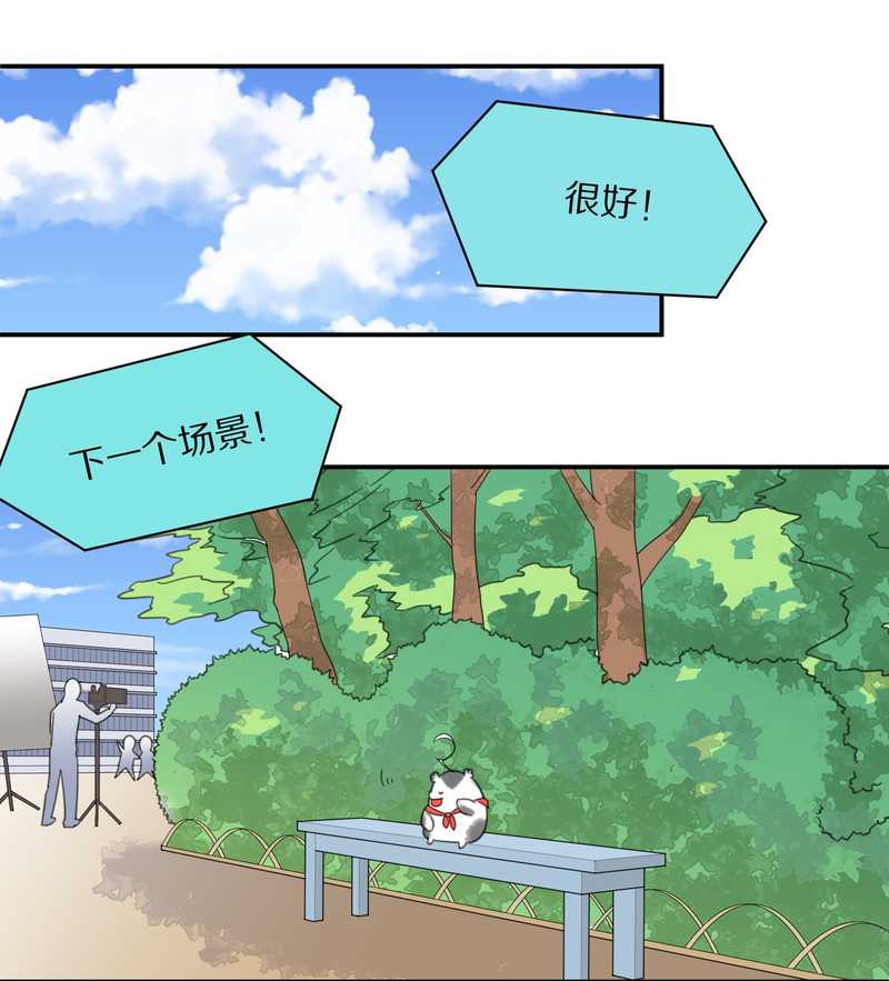 毛球星传说 第24集(1/2)-第24话