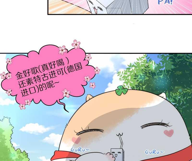 毛球星传说 第24集(1/2)-第24话