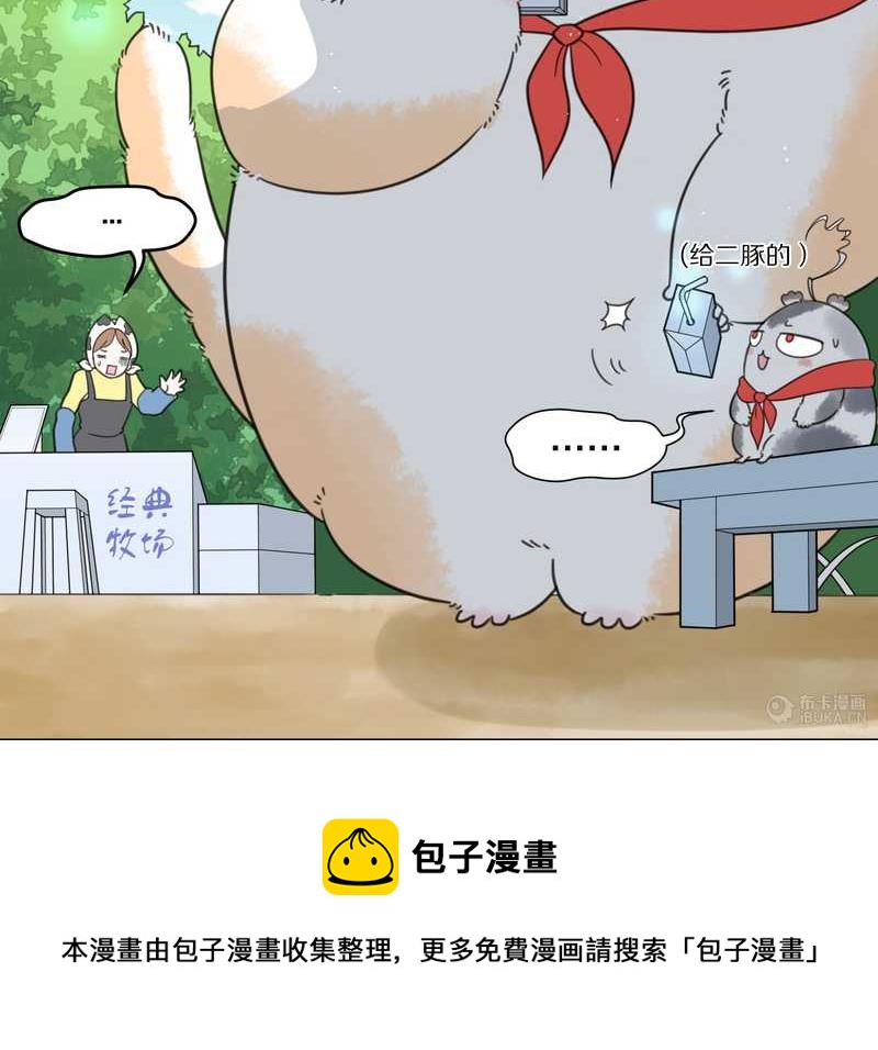 毛球星传说 第24集(1/2)-第24话
