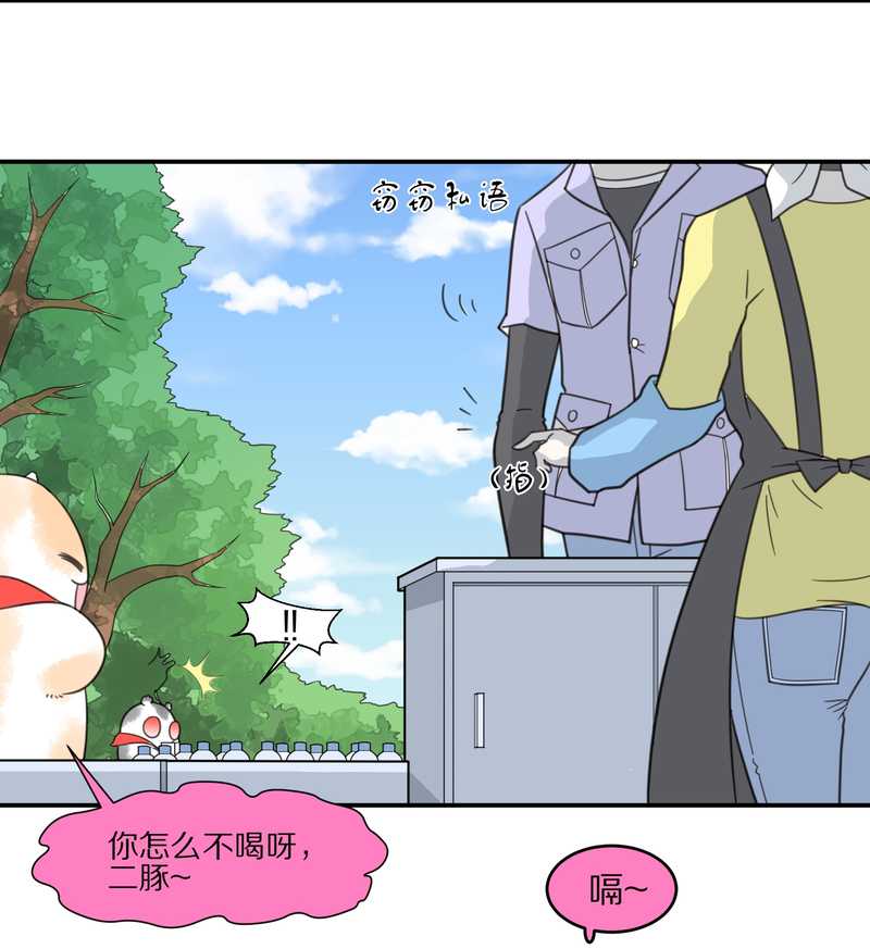 毛球星传说 第24集(1/2)-第24话