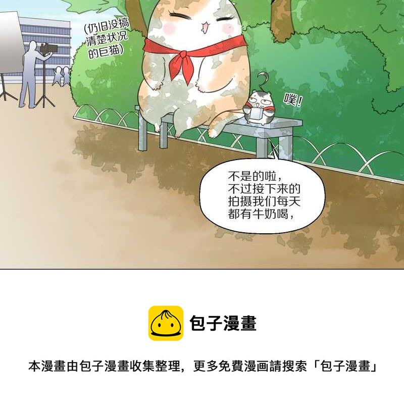 毛球星传说 第24集(1/2)-第24话