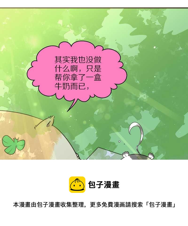 毛球星传说 第24集(1/2)-第24话
