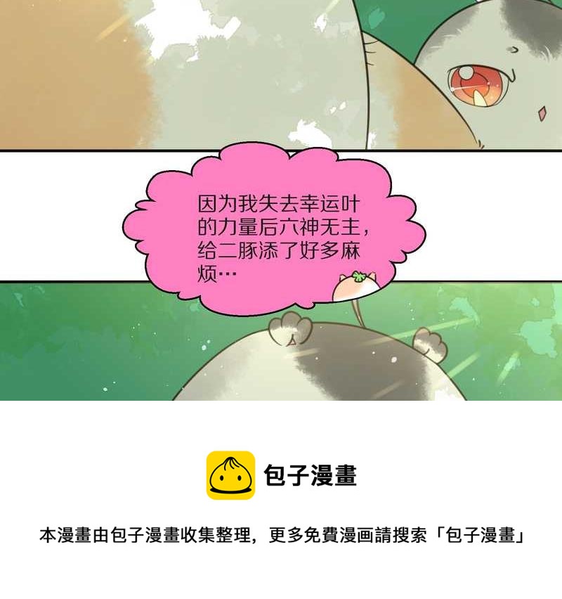 毛球星传说 第24集(1/2)-第24话