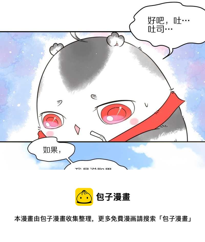 毛球星传说 第24集(1/2)-第24话