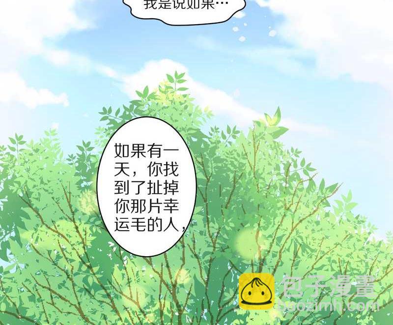 毛球星传说 第24集(1/2)-第24话