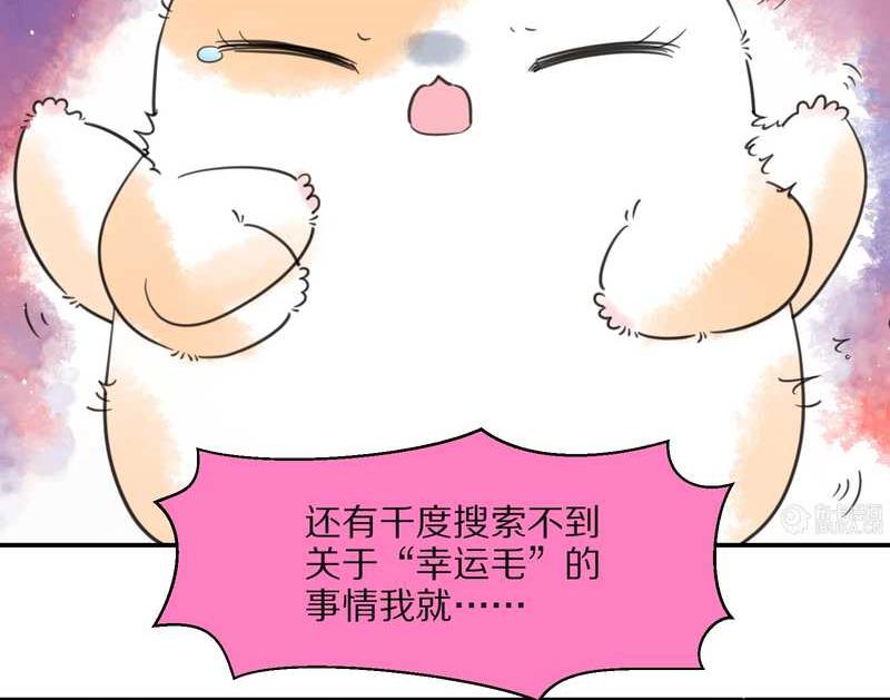 毛球星传说 第26集(1/3)-第26话