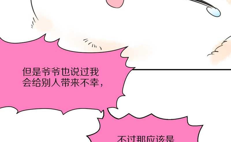 毛球星传说 第26集(1/3)-第26话