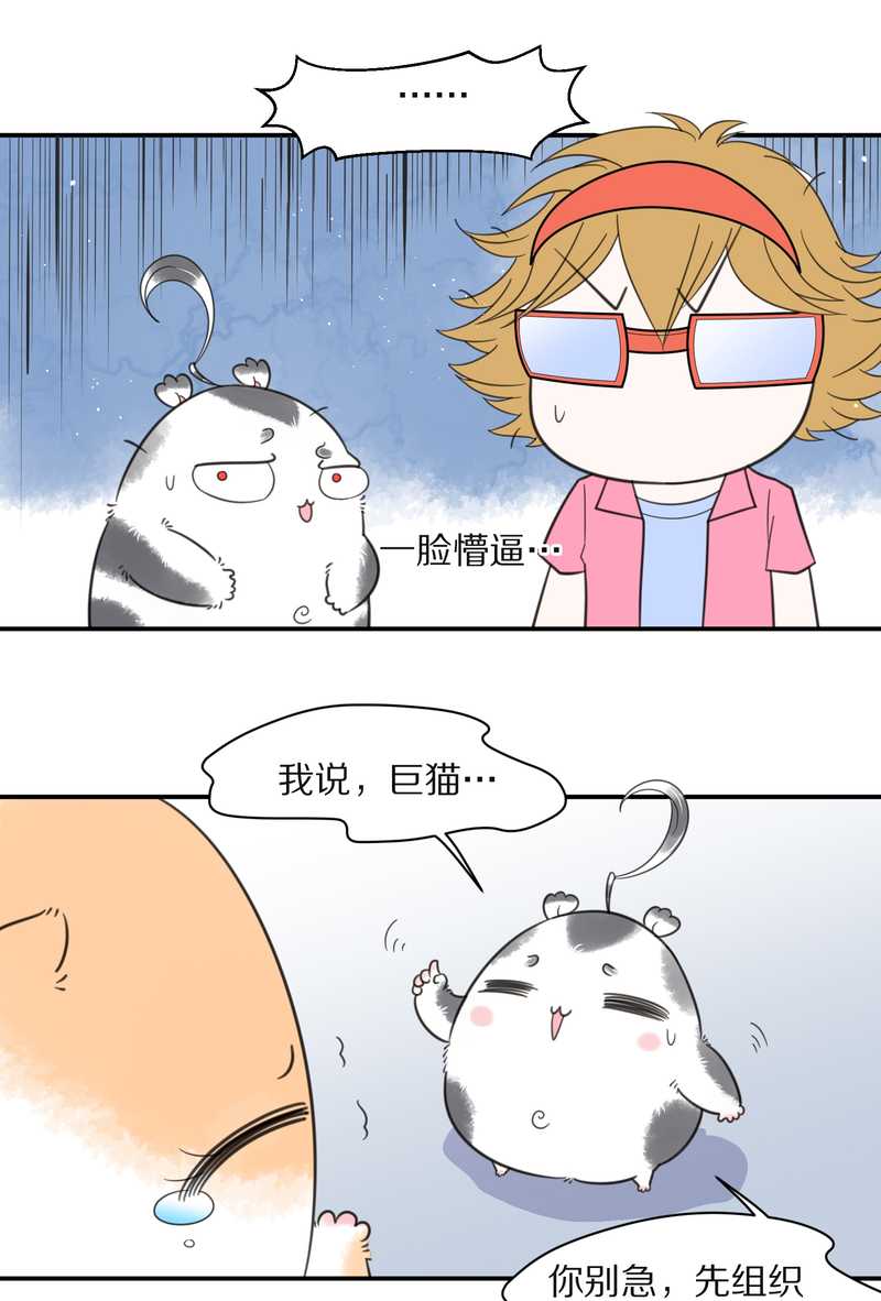 毛球星传说 第26集(1/3)-第26话