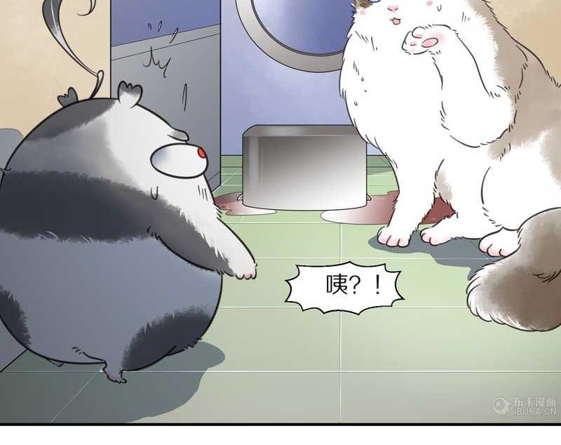 毛球星传说 第26集(1/3)-第26话