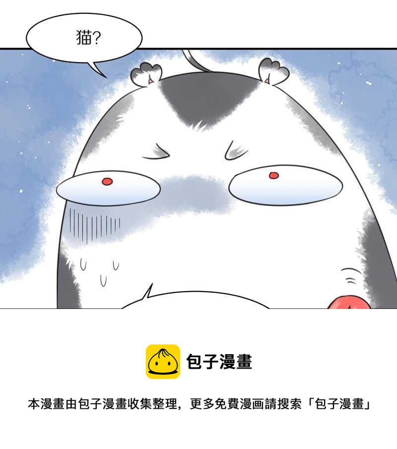 毛球星传说 第26集(1/3)-第26话