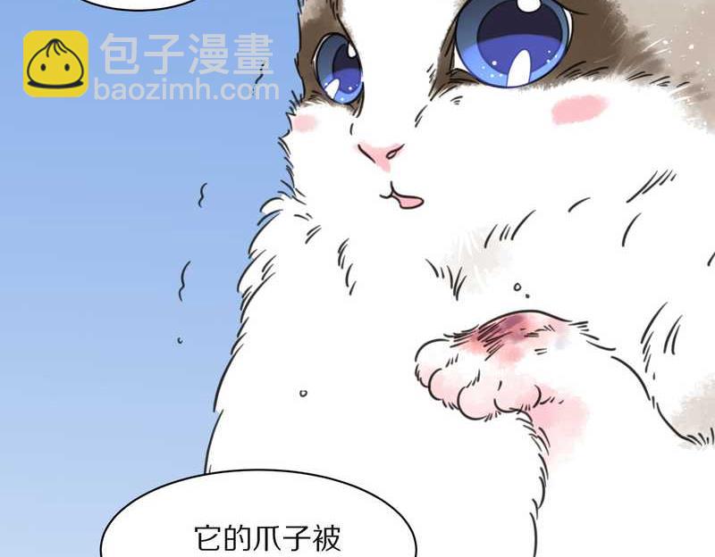毛球星传说 第26集(1/3)-第26话