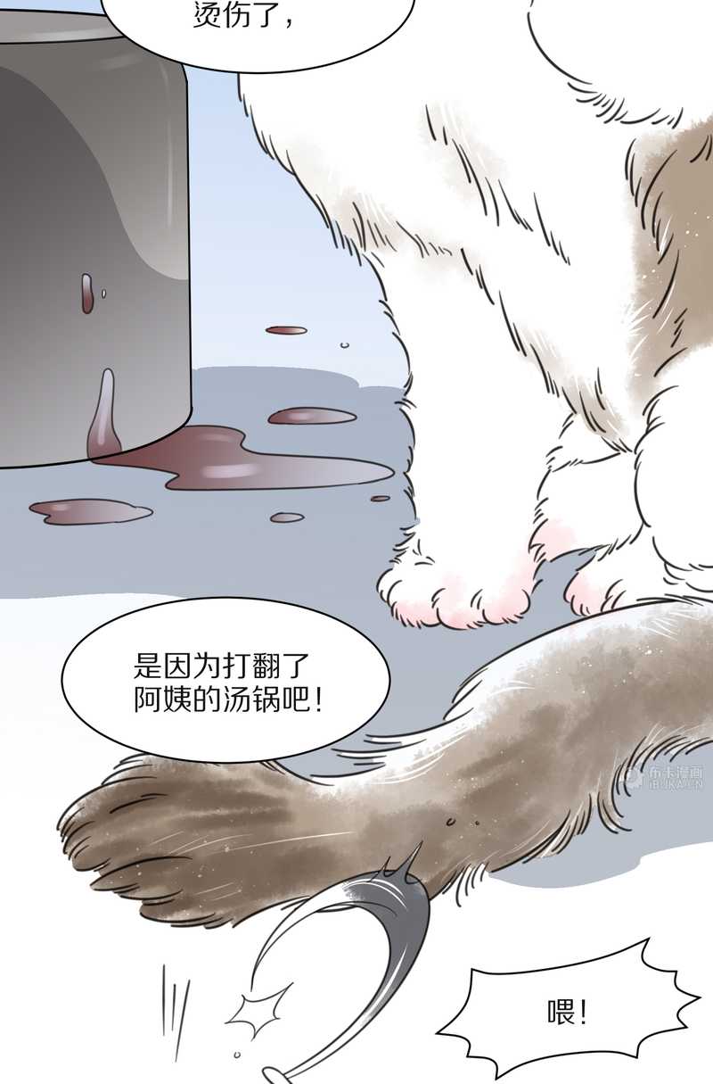 毛球星传说 第26集(1/3)-第26话