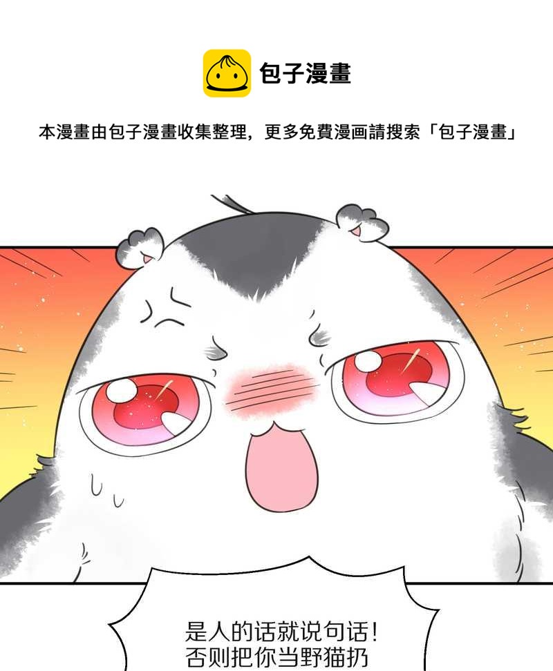 毛球星传说 第26集(1/3)-第26话