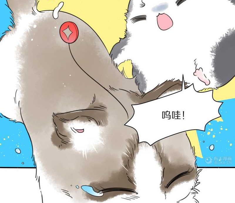 毛球星传说 第26集(1/3)-第26话