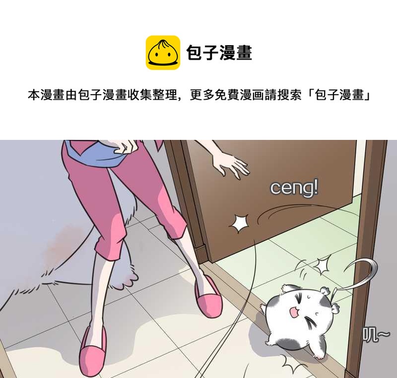 毛球星传说 第26集(1/3)-第26话