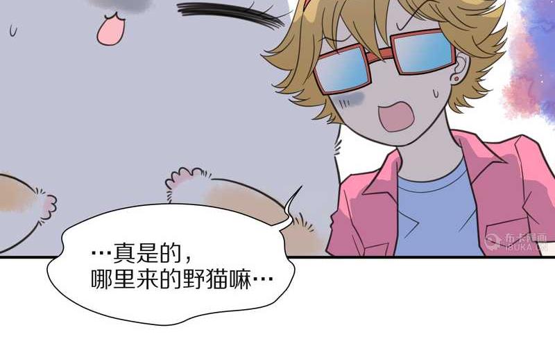 毛球星传说 第26集(1/3)-第26话