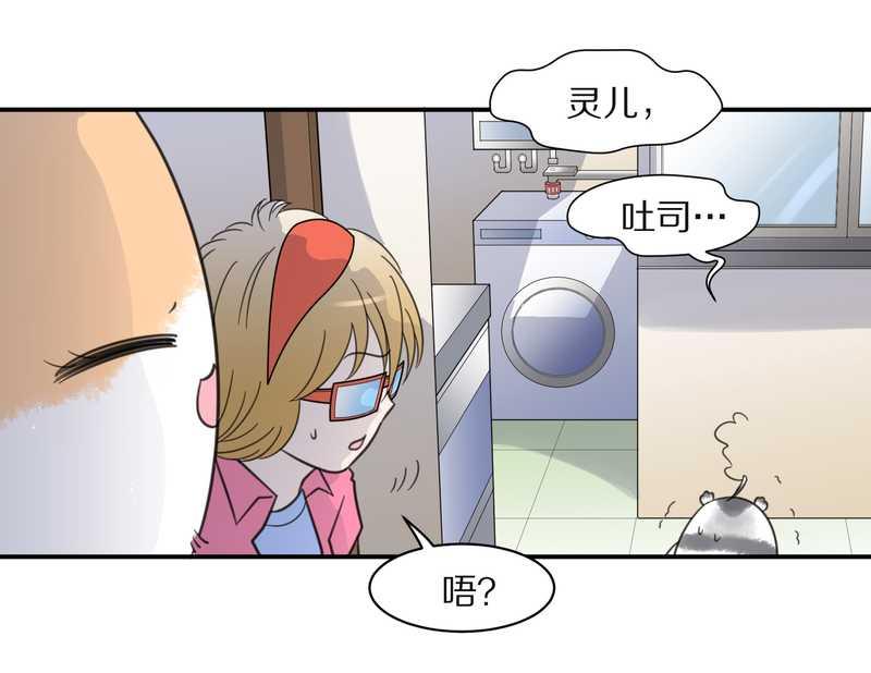 毛球星传说 第26集(1/3)-第26话