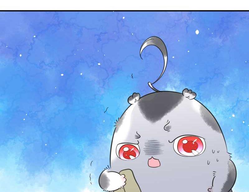 毛球星传说 第26集(1/3)-第26话