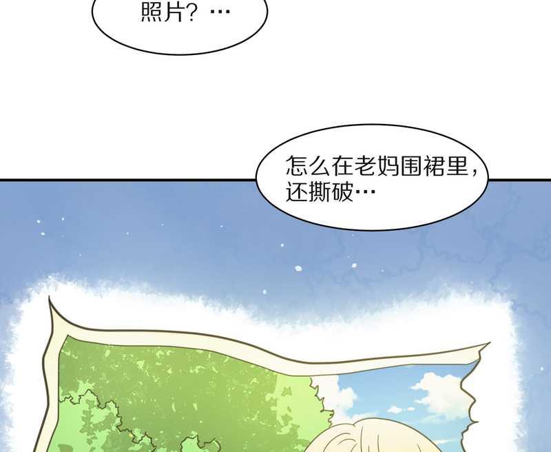 毛球星传说 第26集(1/3)-第26话