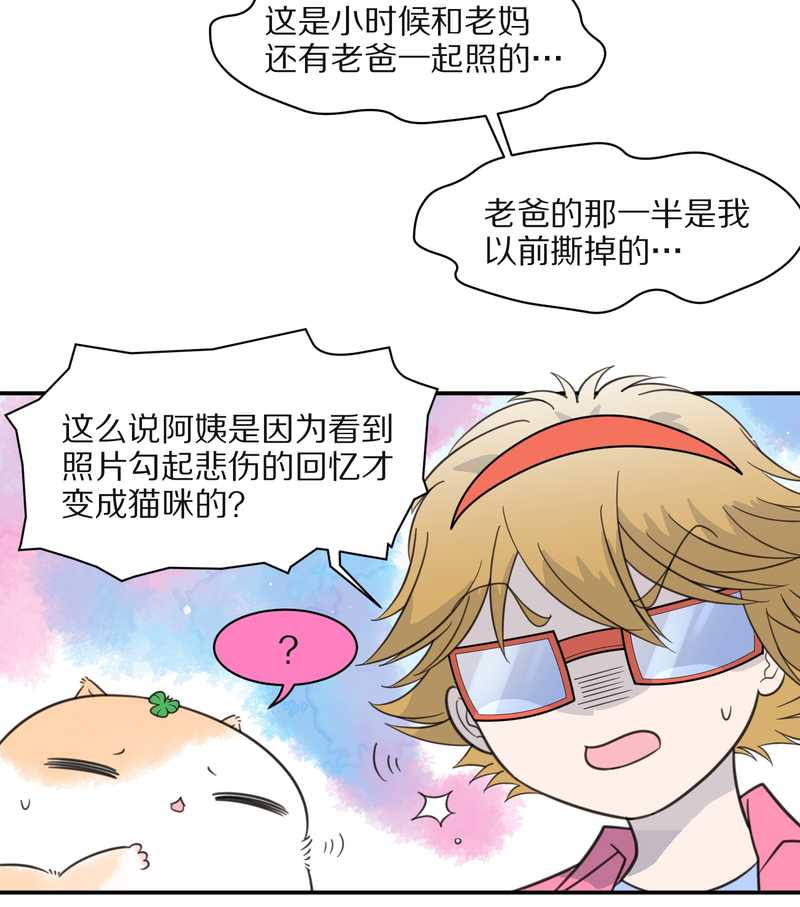 毛球星传说 第26集(1/3)-第26话