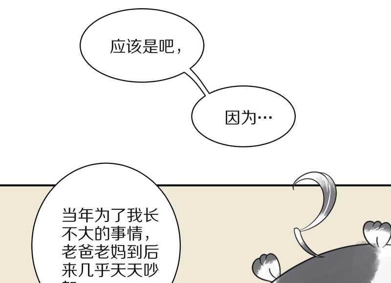 毛球星传说 第26集(1/3)-第26话